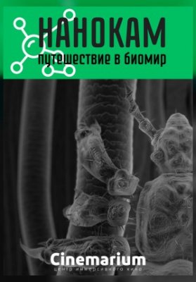 Нанокам. Путешествие в биомир