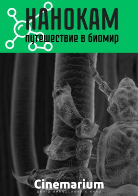 Фото - постер к Кино Нанокам. Путешествие в биомир на kudapoiti.by