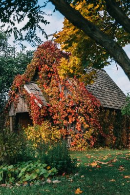 Фото - постер к Музеи и выставки Экспазіцыі ў Фальварак Ракуцёўшчына на kudapoiti.by